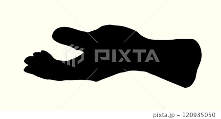 Young human hand. Vector drawing 120935050