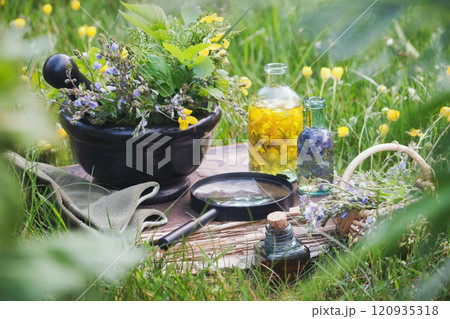 Mortar of medicinal herbs, old book, infusion bottles, basket and magnifying glass on a grass on summer meadow outdoors. Mortar of medicinal herbs, old book, infusion bottles, basket and magnifying glass on a grass on summer meadow outdoors. 120935318
