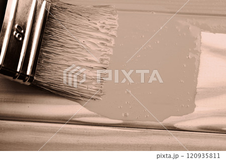 Close-up of paintbrush applying neutral paint on wooden surface, Mocha and Mousse 120935811