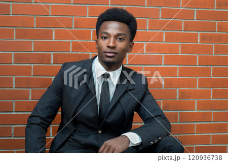 Young Professional Man in a Suit 120936738