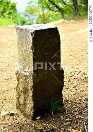 御坂山地の毛無山山頂　三等三角点（十二ヶ岳） 120936779