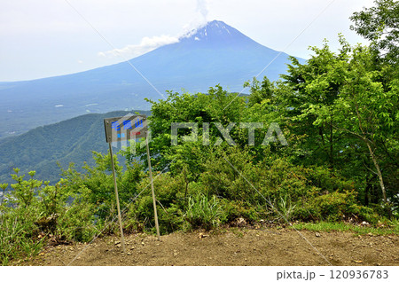 御坂山地の毛無山山頂より　初夏の頃の富士山 120936783