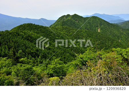 緑の御坂山地 節刀ヶ岳より鬼ヶ岳を望む 緑の御坂山地 節刀ヶ岳より鬼ヶ岳を望む 120936820