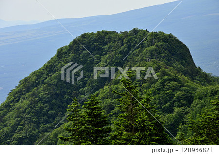 緑の御坂山地　節刀ヶ岳より十二ヶ岳を望む 120936821