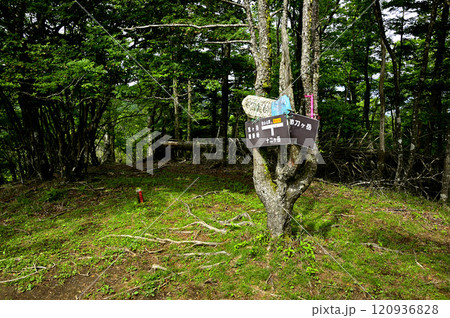 御坂山地の金山山頂 120936828