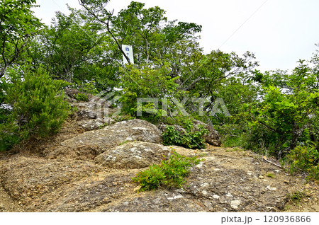 御坂山地の頂 四ヶ岳山頂 御坂山地の頂 四ヶ岳山頂 120936866