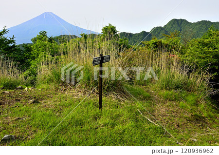 御坂山地の大石峠より　富士山と十二ヶ岳を望む 120936962