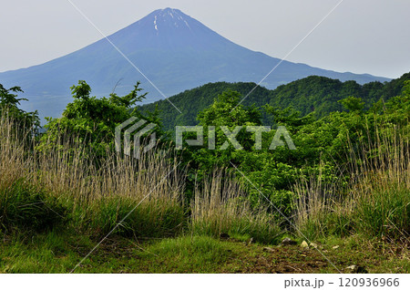 御坂山地 若彦路街道古道の大石峠より望む初夏の富士山 御坂山地 若彦路街道古道の大石峠より望む初夏の富士山 120936966