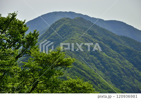 御坂山地の金堀山より　中藤山、黒岳を望む 120936981