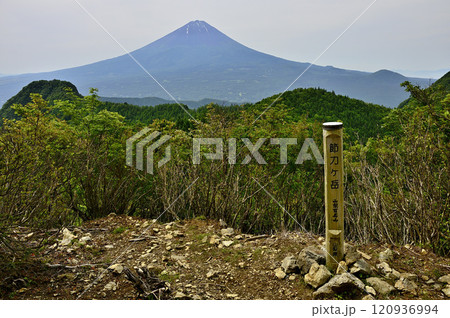 御坂山地　山梨百名山の節刀ヶ岳山頂より望む初夏の富士山 120936994