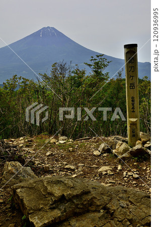 御坂山地　山梨百名山の節刀ヶ岳山頂より望む初夏の富士山 120936995