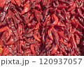 Red Hot Chili Peppers Hanging to Dry 120937057