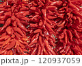 Red Hot Chili Peppers Hanging to Dry 120937059