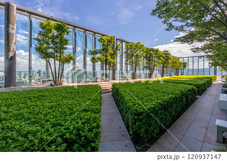 超高層ビル あべのハルカス16階にある空中庭園からの大阪の景色 超高層ビル あべのハルカス16階にある空中庭園からの大阪の景色 120937147
