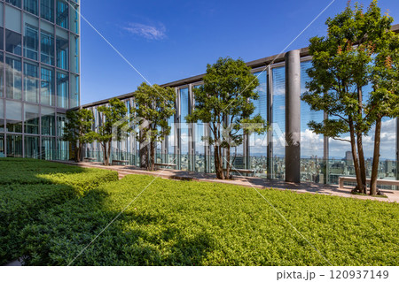 超高層ビル あべのハルカス16階にある空中庭園からの大阪の景色 120937149