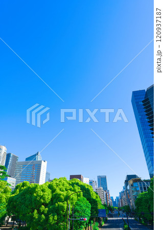 【東京都】5月・港区芝公園周辺の街風景《日比谷通り》 120937187