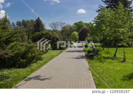 staircase is understood uphill in autumn park staircase is understood uphill in autumn park 120938197