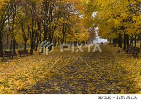 Walkway in the park in the summer 120938216