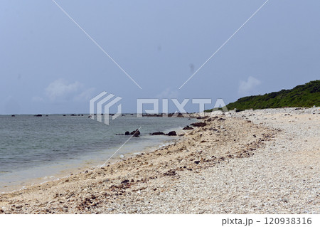 石垣島のサンゴのビーチ白保海岸 120938316