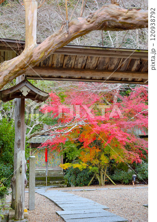 正寿院 120938792