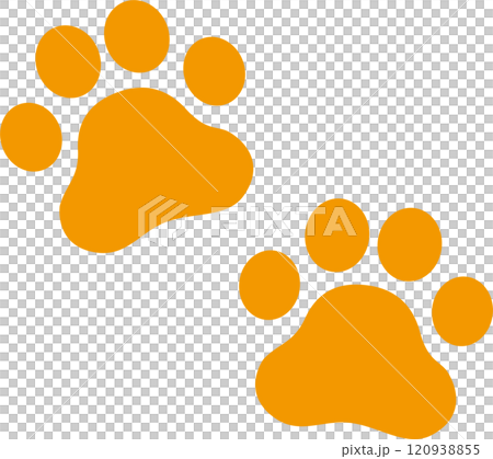 Dog and cat paw print icon Dog and cat paw print icon 120938855