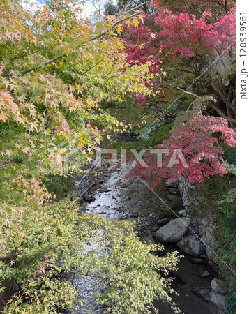 「渓流を彩る紅葉のグラデーション、美しい秋の訪れ」 「渓流を彩る紅葉のグラデーション、美しい秋の訪れ」 120939561