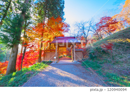 金蔵院の紅葉 金蔵院の紅葉 120940094