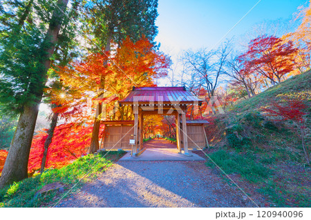 金蔵院の紅葉 金蔵院の紅葉 120940096