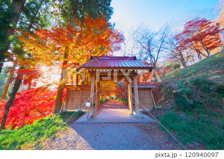 金蔵院の紅葉 120940097