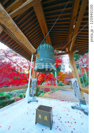 金蔵院の紅葉 金蔵院の紅葉 120940100