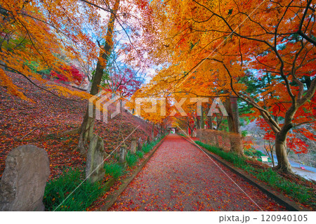 金蔵院の紅葉 金蔵院の紅葉 120940105