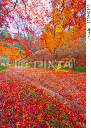 金蔵院の紅葉 金蔵院の紅葉 120940106