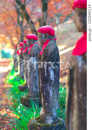 金蔵院の紅葉 120940114