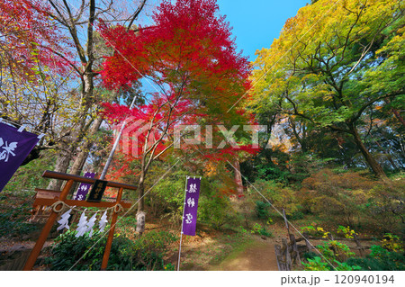唐澤山神社の紅葉 120940194
