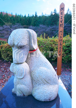金蔵院の秋 120940199
