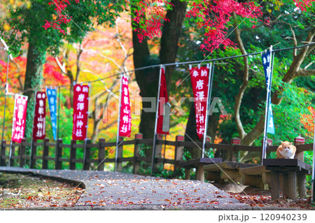 唐澤山神社の紅葉 120940239