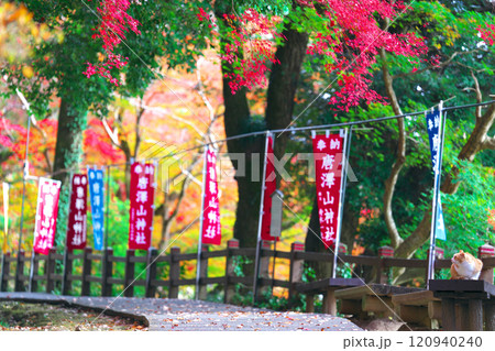 唐澤山神社の紅葉 120940240