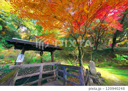 唐澤山神社の紅葉 120940248