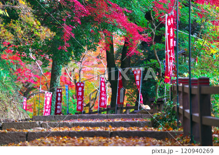 唐澤山神社の紅葉 唐澤山神社の紅葉 120940269