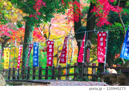 唐澤山神社の紅葉 120940273