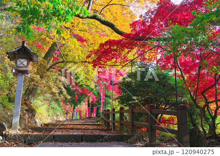 唐澤山神社の紅葉 120940275