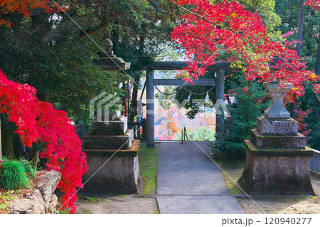 唐澤山神社の紅葉 120940277