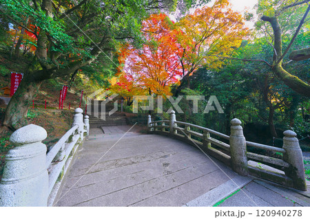 唐澤山神社の紅葉 唐澤山神社の紅葉 120940278