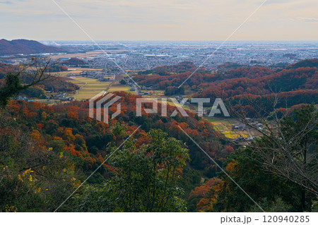 唐澤山神社の紅葉 120940285