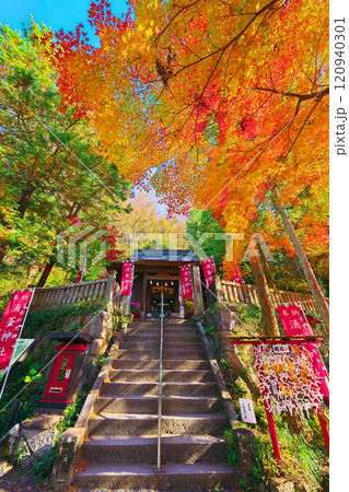 出流原弁天池の紅葉 120940301