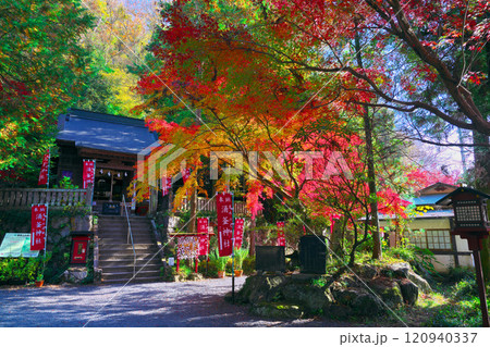 出流原弁天池の紅葉 120940337