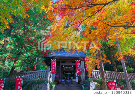 出流原弁天池の紅葉 出流原弁天池の紅葉 120940338