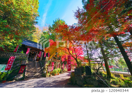 出流原弁天池の紅葉 120940344