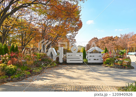 秋のソウルの森公園【韓国/ソウル】 秋のソウルの森公園【韓国/ソウル】 120940926