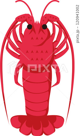 伊勢海老 えび 魚介類 海産物 正月 イラスト 素材 伊勢海老 えび 魚介類 海産物 正月 イラスト 素材 120941002